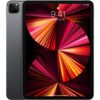 iPad Pro 11 inch Space Gray 2021